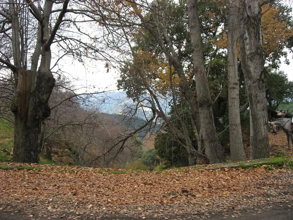 Posada Mirador De Jubrique 2*,  Spain